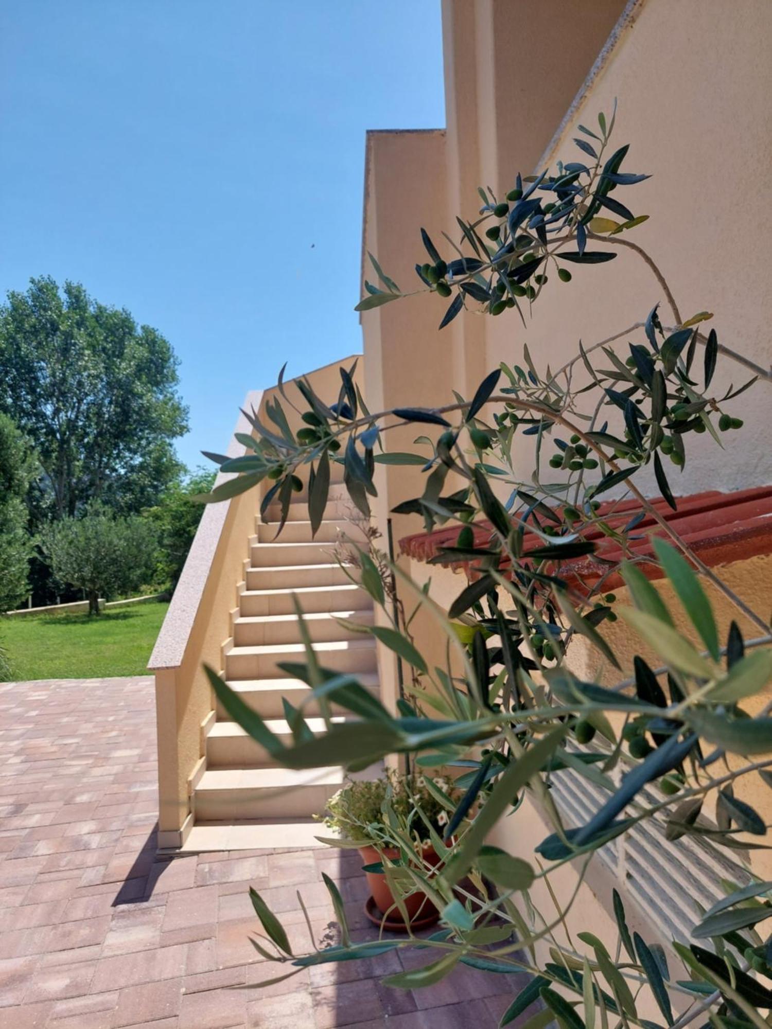 Novouredeni Apartman Marko Mundanije ภายนอก รูปภาพ